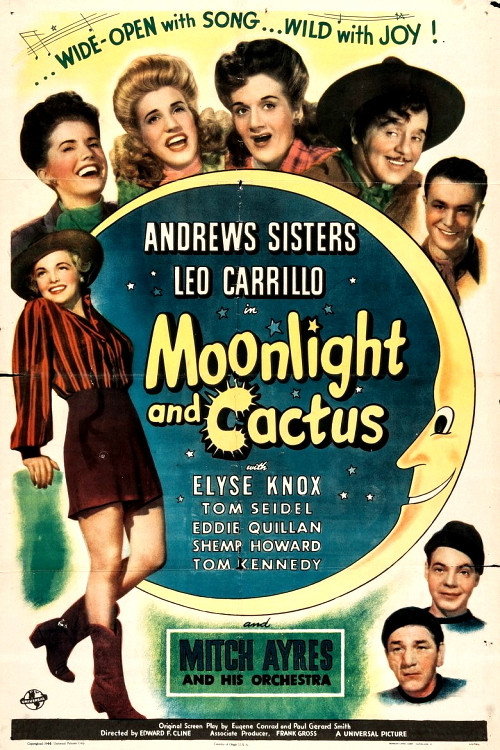 Moonlight and Cactus Poster