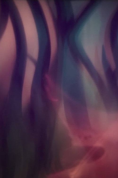 Luccata, Opus 162 Poster