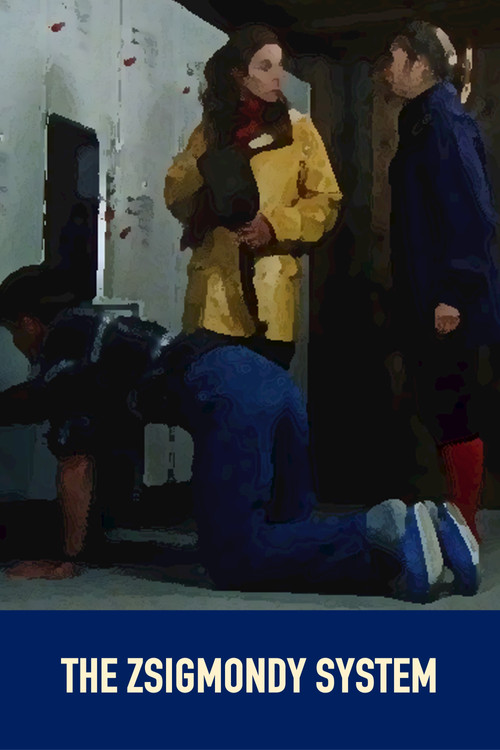 The Zsigmondy System Poster