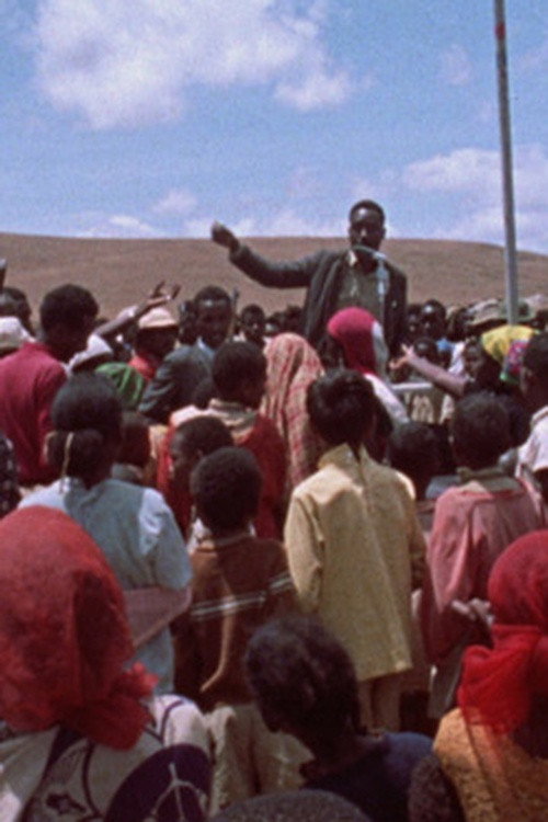 Harambee: Pull Together Poster
