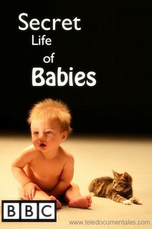 Secret Life of Babies Poster