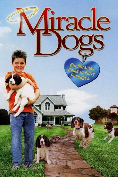 Miracle Dogs Poster