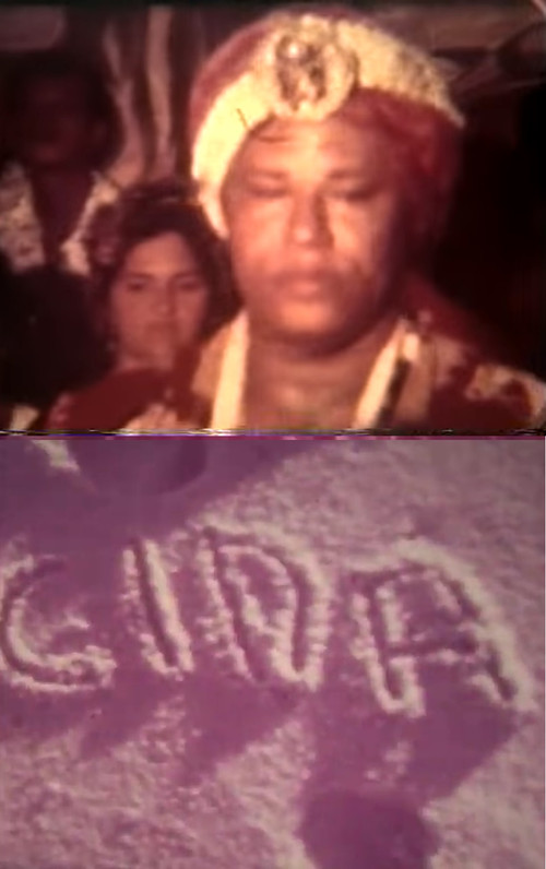 Babalorixá Mário Miranda, Maria Aparecida no Carnaval Poster