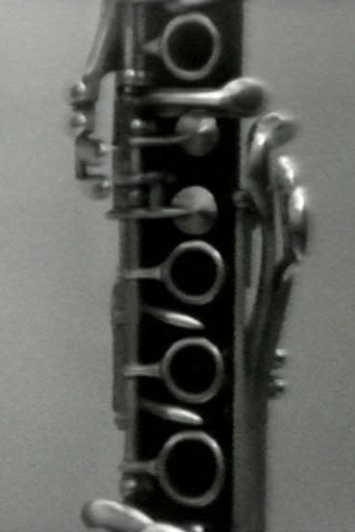 Concerto per clarino e VTR Poster