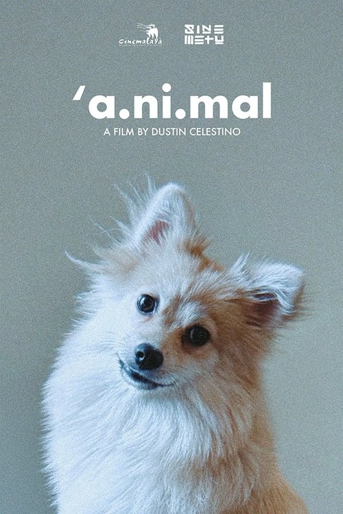 'a.ni.mal Poster