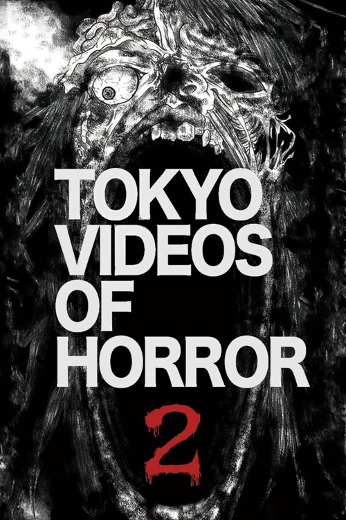 Tokyo Videos of Horror 2 Poster