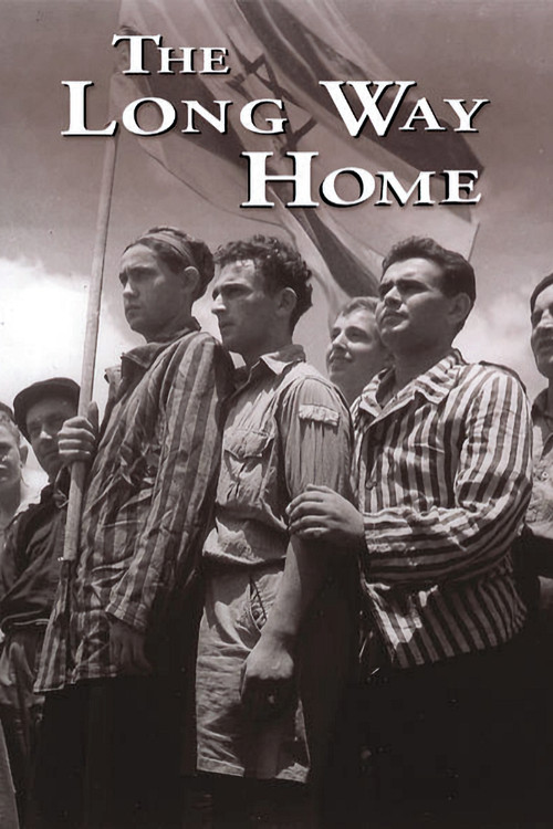 The Long Way Home Poster