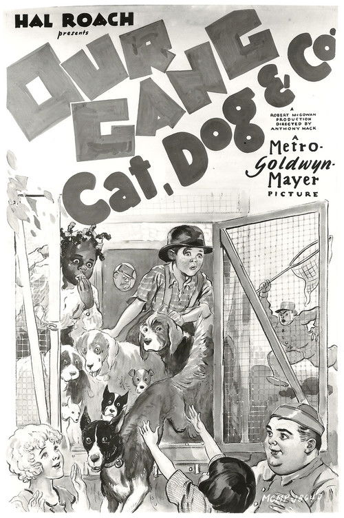 Cat, Dog & Co. Poster