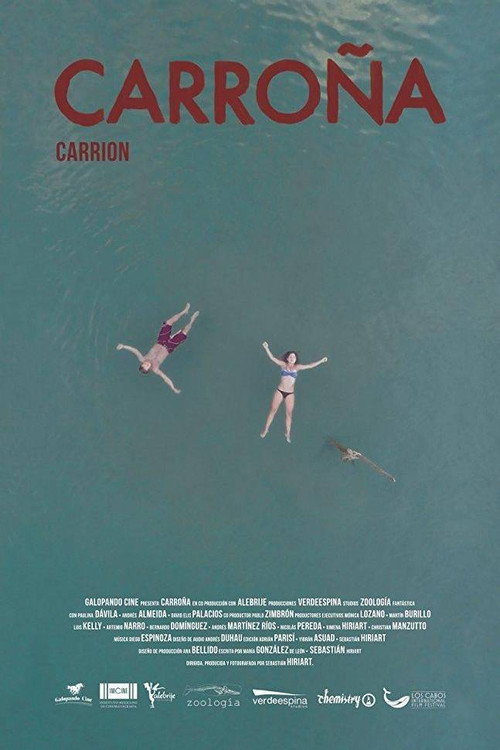 Carrion Poster