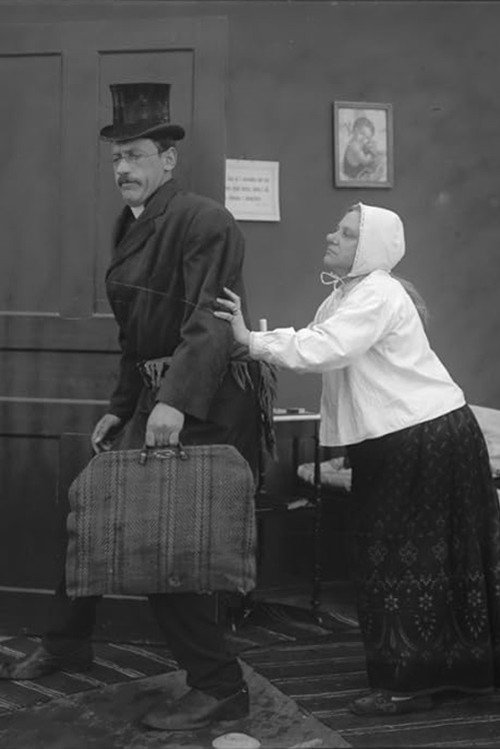 När svärmor regerar Poster