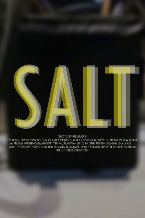 Salt Poster