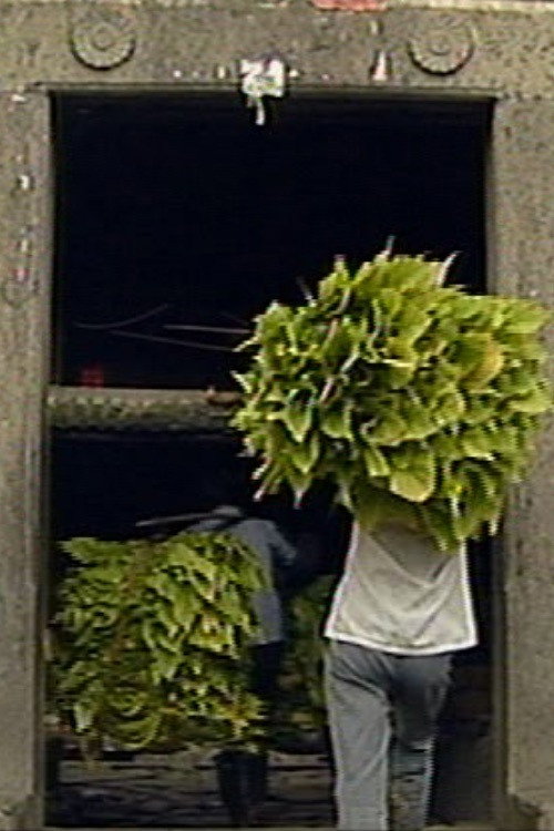 Tulou, My Home Poster