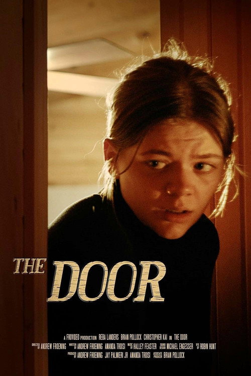 The Door Poster