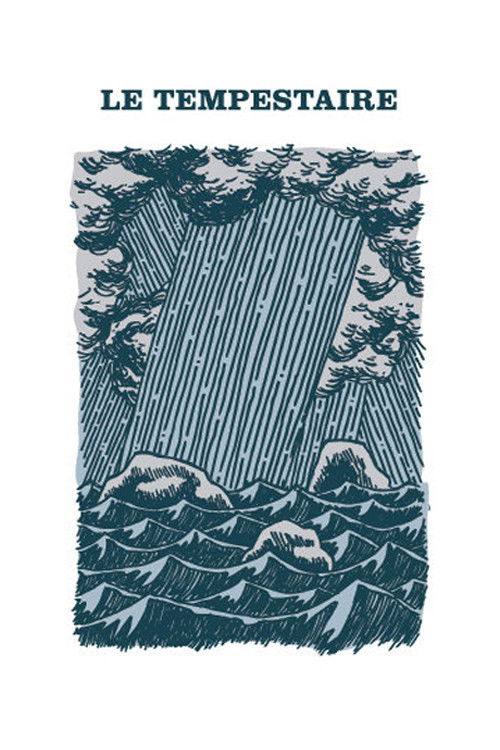 The Storm-Tamer Poster