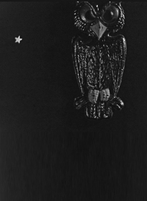 The Spider and the Fly Poster