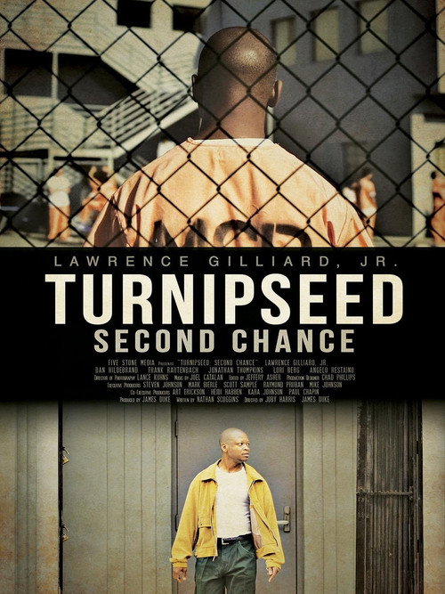 Turnipseed: Second Chance Poster