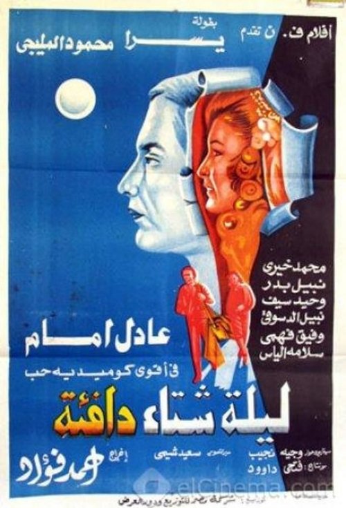 A Warm Winter Night Poster