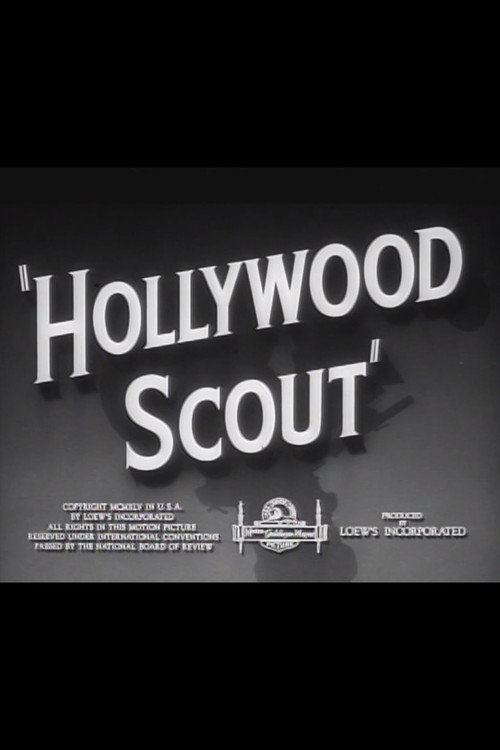 Hollywood Scout Poster