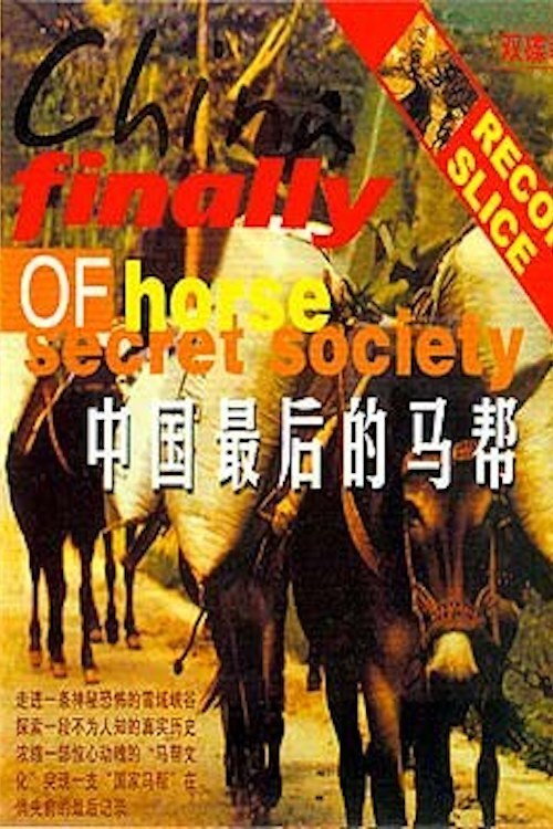 The Last Caravan Poster