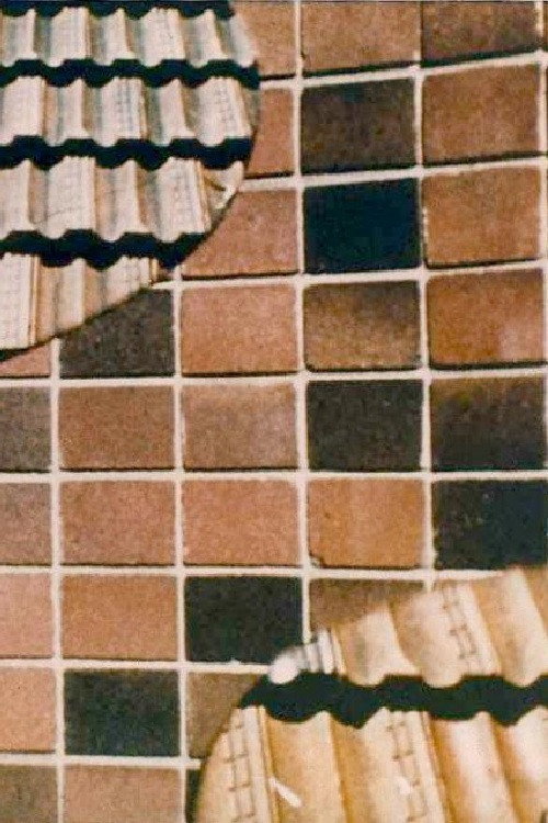 Brick and Tile Poster