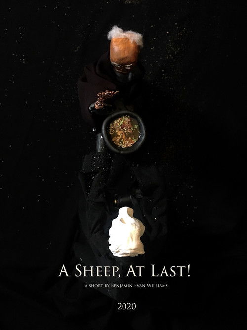 A Sheep, At Last! Poster