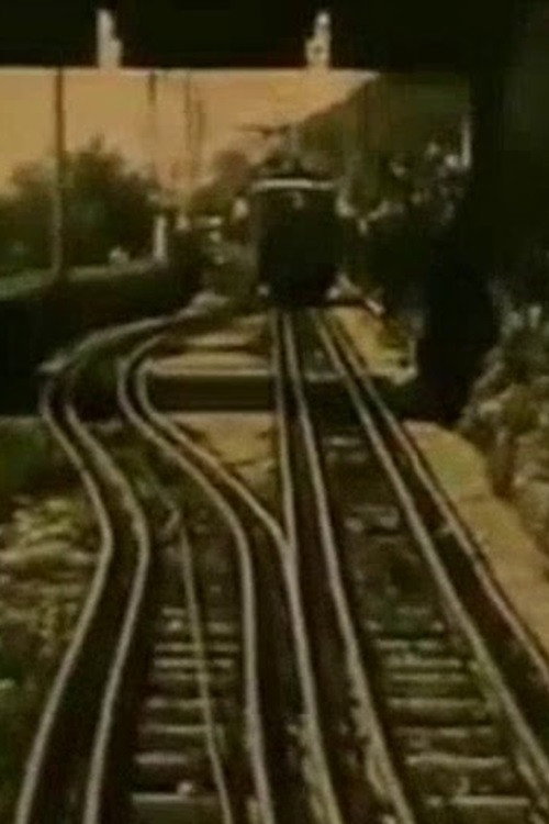 Palermo illustrata Poster