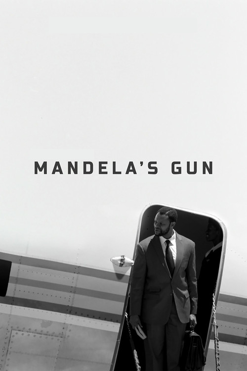 Mandela's Gun Poster