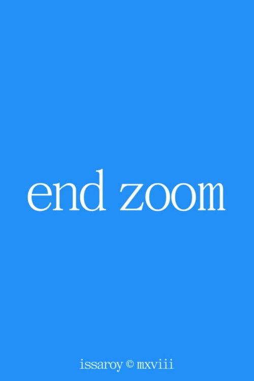 End Zoom Poster