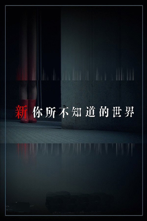 Another World You Don't Know About Poster