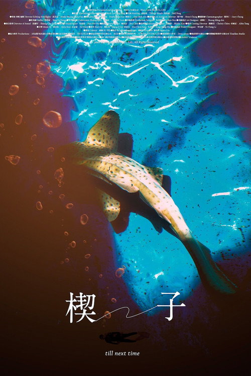 till next time Poster