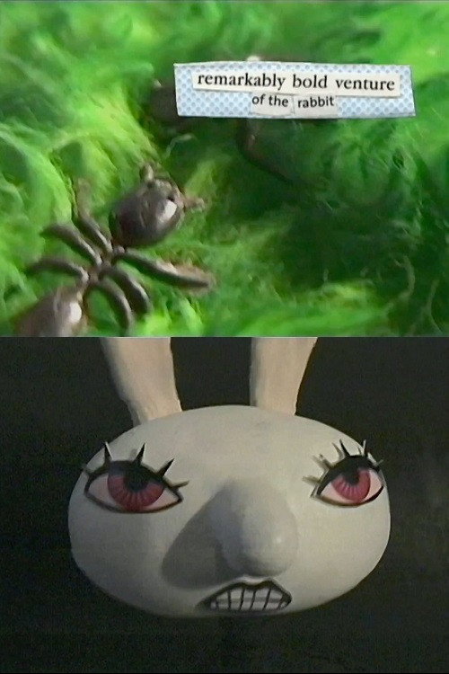 Remarkably Bold Venture of the Rabbit Poster