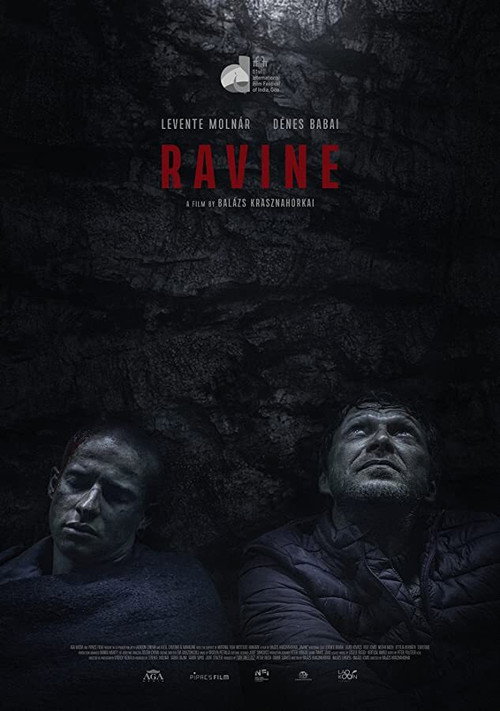 Ravine Poster