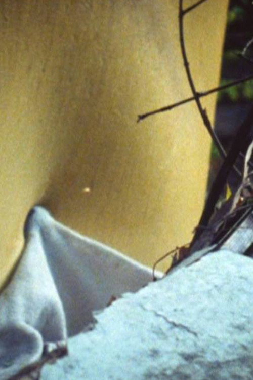 Polstermöbel im Grünen Poster