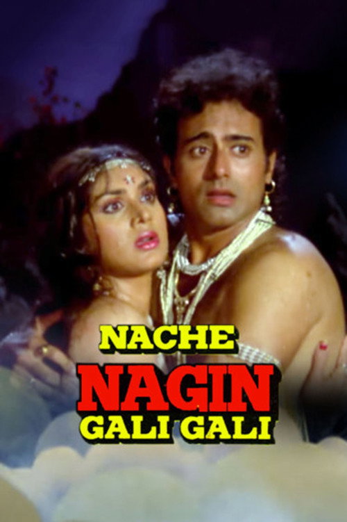 Nache Nagin Gali Gali Poster