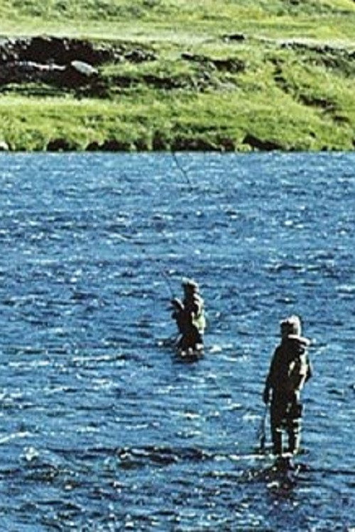 Will There Be Salmon Tomorrow? Poster