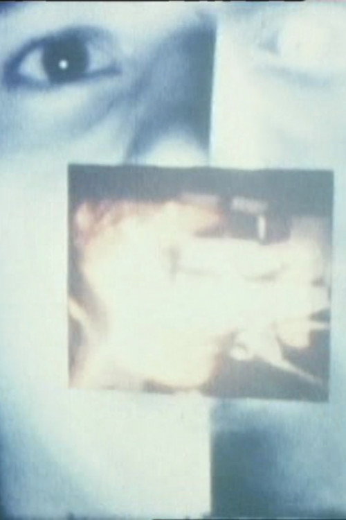 The Screen, Just the Screen Poster
