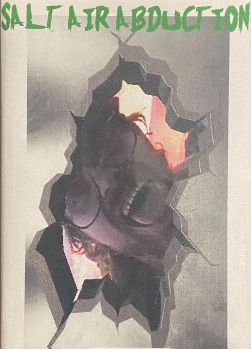 Salt Air Abduction Poster