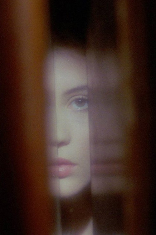 Phantasmagoria of the Interior Poster