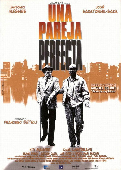 A Perfect Couple Poster