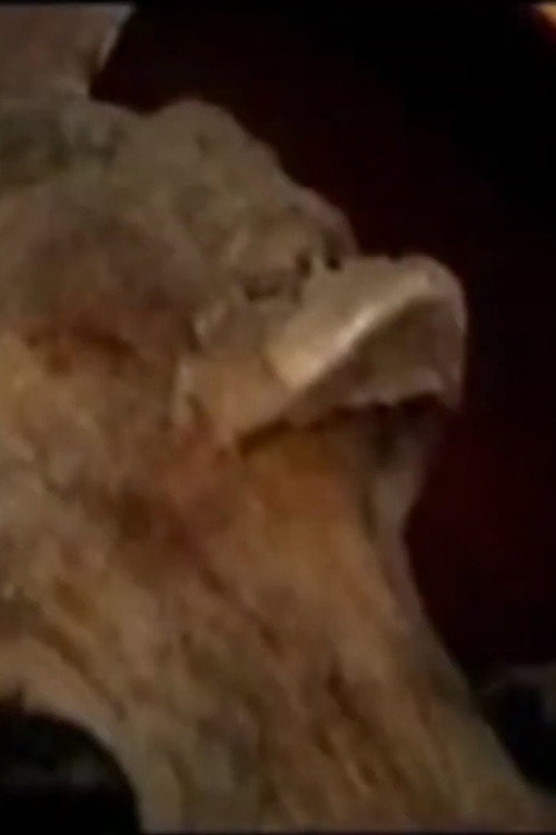 Under Cemetery 2: Guanajuato Poster