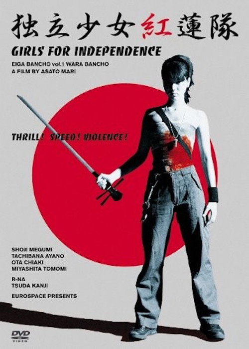 Samurai Chicks Poster