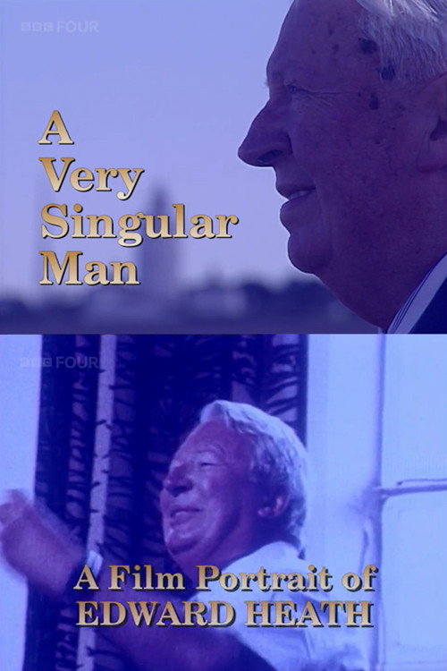 A Very Singular Man Poster