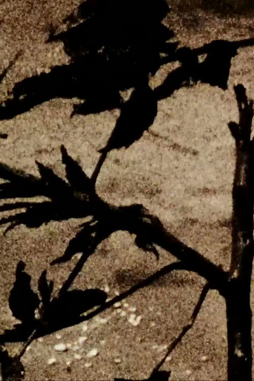 Kokoro Is for Heart Poster