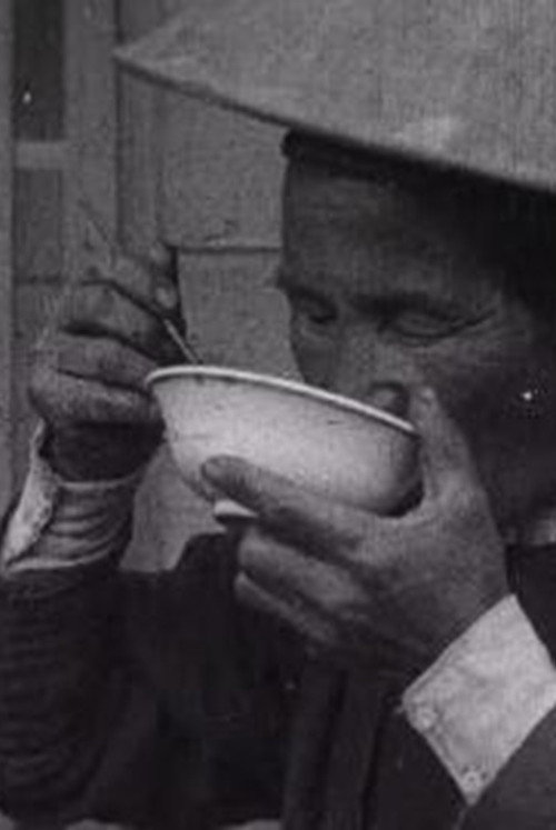 Katsura River, Picturesque Japan Poster