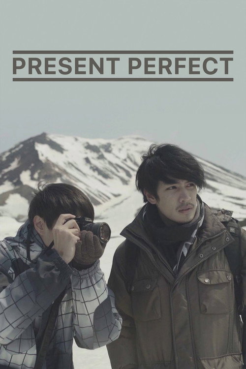 Present Perfect Poster