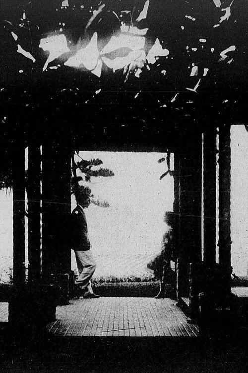 Meu Primeiro Amor Poster