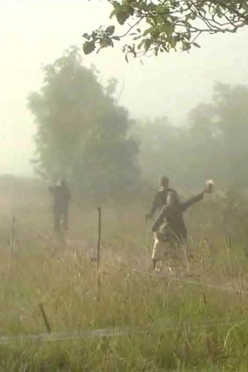 Playing with Fire Poster