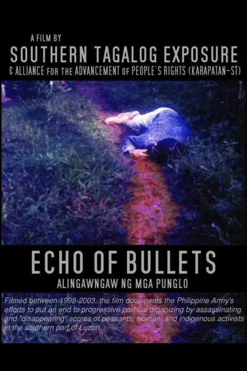 Echo of Bullets Poster