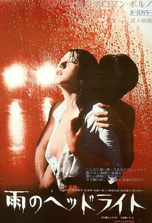 Headlights in the Rain Poster