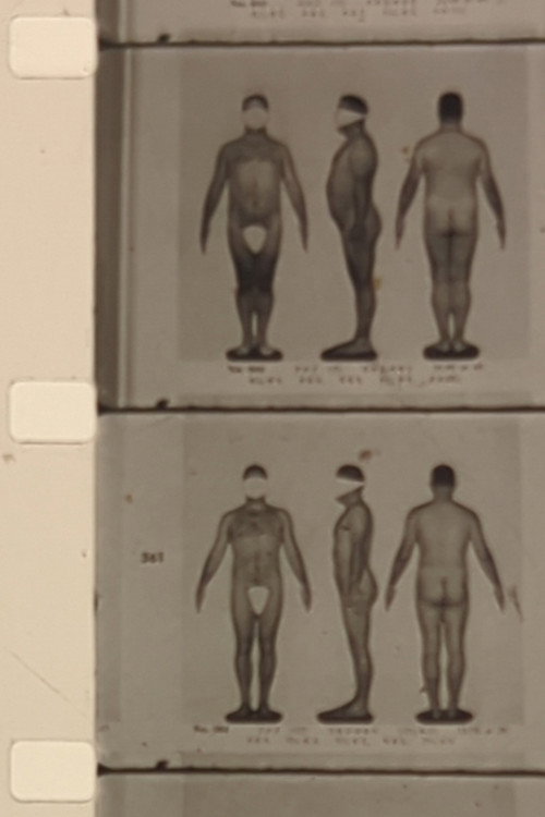 Vervielfältigung Poster